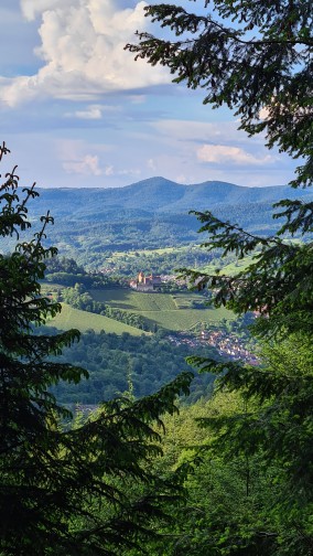 Heimat - Weitblick beim Familienwandern